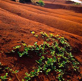 EA宣布取消《黑豹》游戏 并关闭开发商
